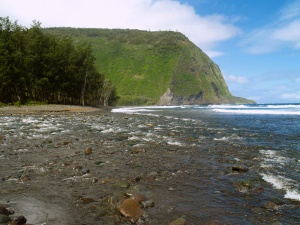 uitzicht op de kust van Big Island | Hamakua Coast